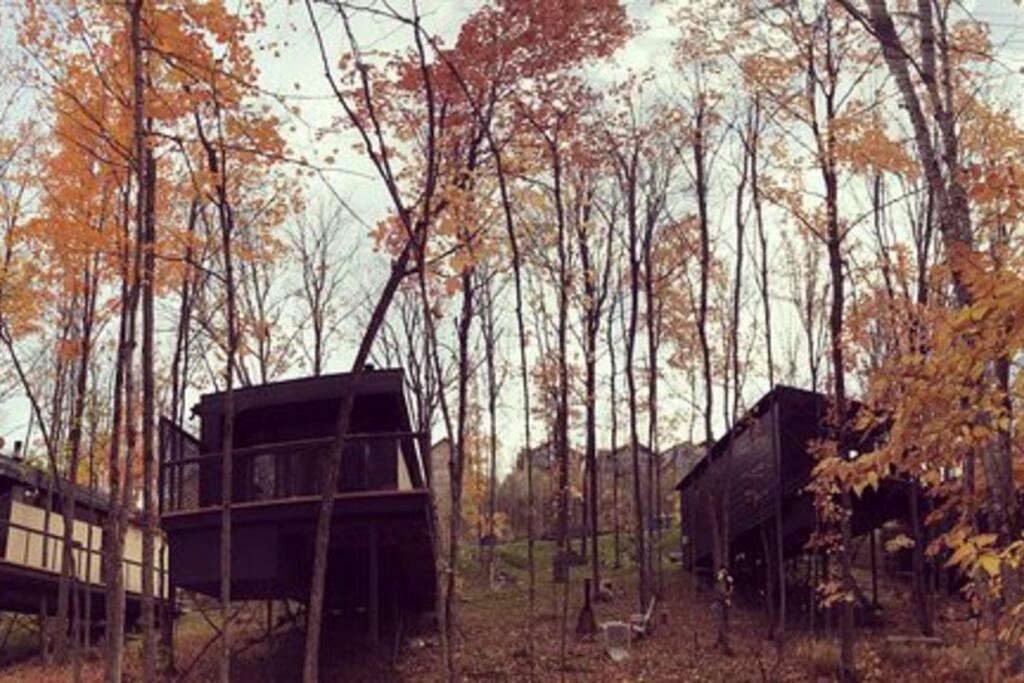 Cabin Sutton 252 - En Harmonie Avec La Nature!ヴィラ エクステリア 写真